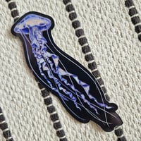 Image 1 of Jellyfish