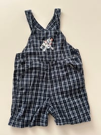 Image 1 of Dalmatians shortall