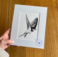 Swallow #1 Giclee Print