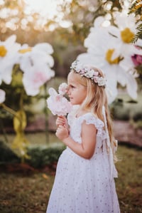 Image 16 of Flutters