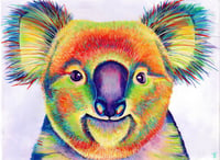 Image 1 of Lola Koala