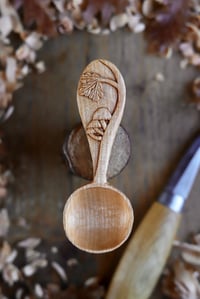 Image 1 of Oak and Mushroom- Coffee Scoop