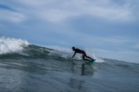 Image 5 of Retro ‘67 Fish (as seen in “Outer Banks” Netflix series)