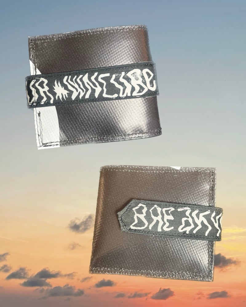 Image of Wallet 100