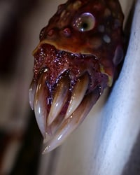 Image 15 of Little Monster Toothy pendant, OOAK,