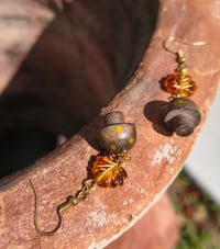 Image 2 of Fall Mushrooms