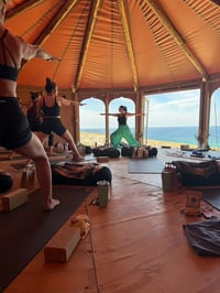 Image 3 of Summer Sanctuary Session 2026