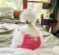 Image 1 of Pink Polka - Chicken Diaper