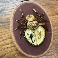 Image 1 of Specimen spider (b,  4x5 inches)