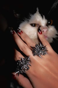 Image 2 of CIRSIUM RING