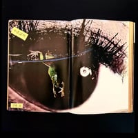 Image 5 of Featured Story 1968 #3