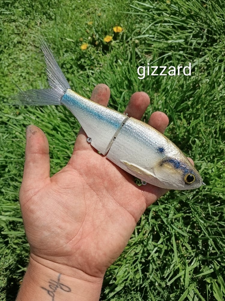 Image of 9 inch Snack