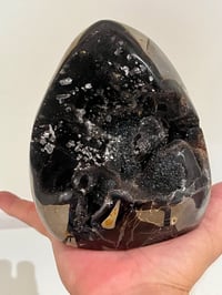 Image 13 of Septarian Nodule Polished Freeform With Calcite Inclusions| Madagascar #2899