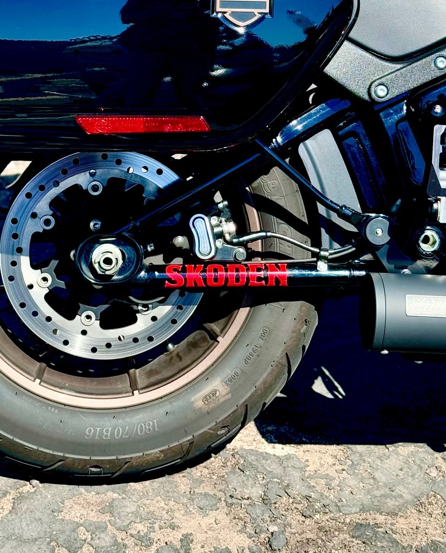 Image of SKODEN Decal