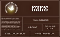 Image 1 of Mint | Basic Collection