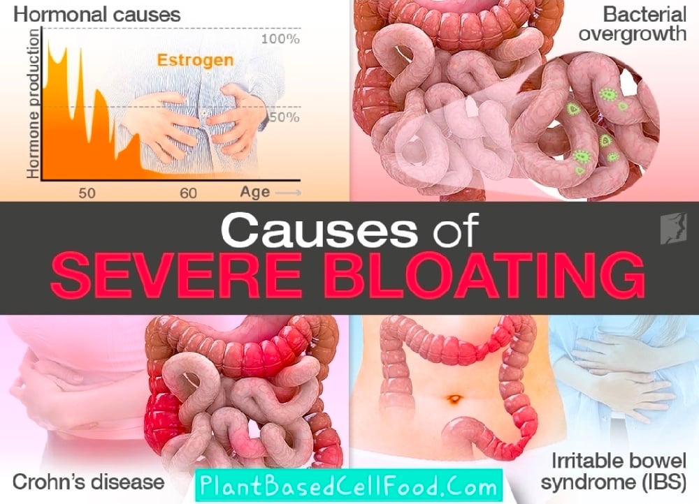 Healthy Gut! Prebiotic-Probiotic Powder. Menopause-Bones-Colitis-Gas-Bloating-Diabetes-Cravings