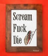 Scream fuck die 