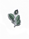 'Hanging Iris' Sticker
