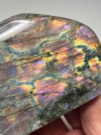 Image 15 of Purple Labradorite Freeform | Madagascar #3028