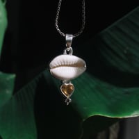 Image 1 of Cowrie Shell // Citrine 