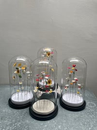 Image 3 of Jardin intérieur, fleurs sous cloche XL -1