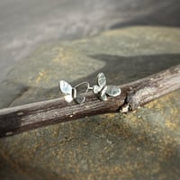 Image 2 of Moth Studs
