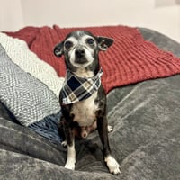 Image 1 of Classic Plaid Reversible Bandana