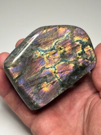 Image 16 of Purple Labradorite Freeform | Madagascar #3028