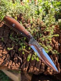 Image 3 of IRONWOOD FIGHTER HYBRID