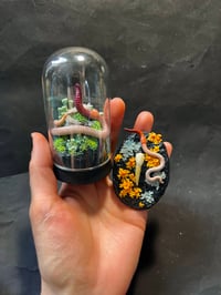 Image 5 of Newest Additions: Worm Dome & Mini Finders Keepers