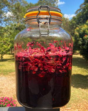 Image of Hibiscus & Rose Face Mist 