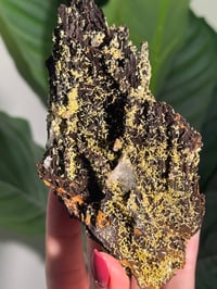 Image 5 of SELF STANDING ONE OF A KIND MIMETITE -MEXICO-