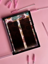 Image 3 of Earthy Eyes 🤎