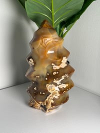 Image 11 of XXL MOODY CARNELIAN FLAME -MADAGASCAR-