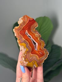 Image 1 of XL RED AND YELLOW LAGUNA AGATE WITH PARALAX