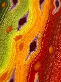 Image 6 of Brook Trout by Mikie