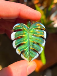 Image 3 of Green variegated uv monstera leaf pendant 