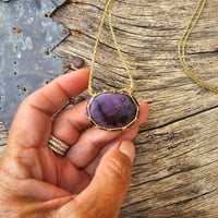 Image 4 of Caged Wisdom