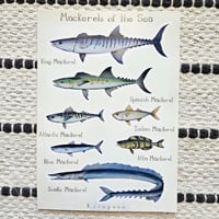Image 1 of Mackerels of the Sea 🐟