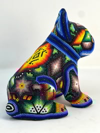 Image 4 of French Bulldog Puppy Vol 3 009