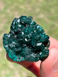 Image 9 of Dioptase Specimen #2539
