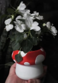 Image 2 of Mushroom Flower Pot