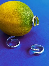 Image 5 of The Twist Ring