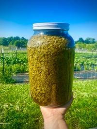 Image 2 of Chamomile Flower Tincture