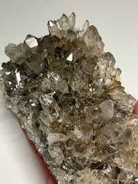 Image 8 of Smoky Quartz Cluster | Brazil #2984