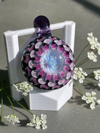 Image 7 of perfect purple pear