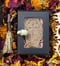 Image of "The Halloween Box"