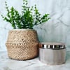 Giorgio Candle 330g - ROSE GOLD  **ONLY 3 AVAILABLE**