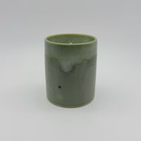 Image 1 of Fickle Fern 