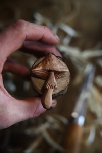 Image 1 of Apple wood Mushroom 